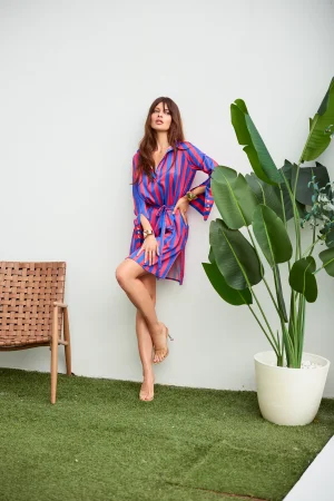 Blue and raspberry striped belted dress